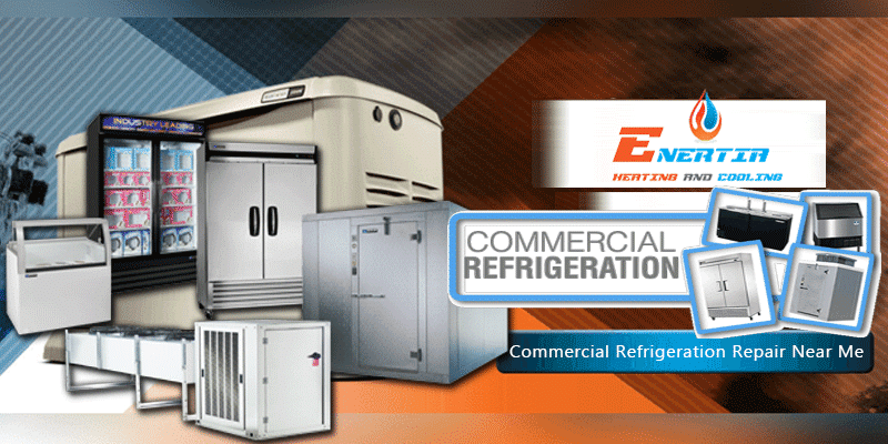 5 Factors to Contemplate before purchasing commercial refrigerators